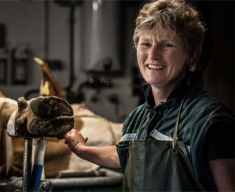 Dr. Katrin Röhrer